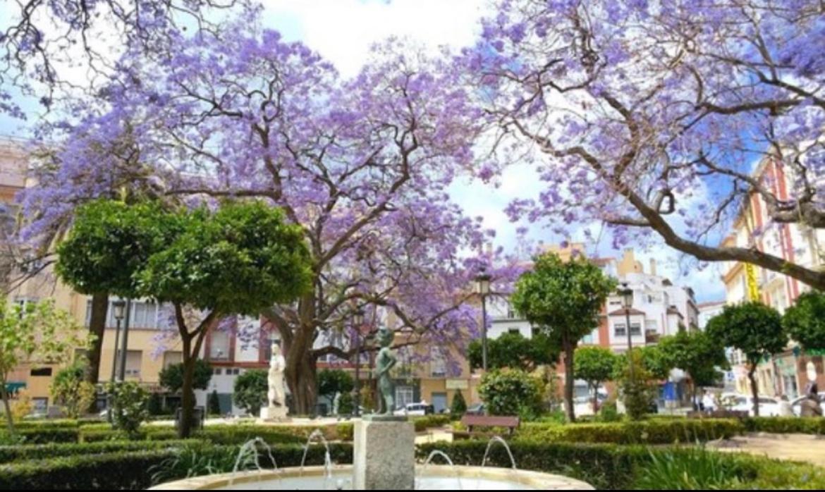 Historical Center Ollerias Apartment Malaga Ngoại thất bức ảnh